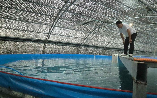 Nuôi cá thu ngay trên đất liền: "Siêu công nghệ" từ ông lớn chăn nuôi Việt Nam và liên minh Nhật - Hàn