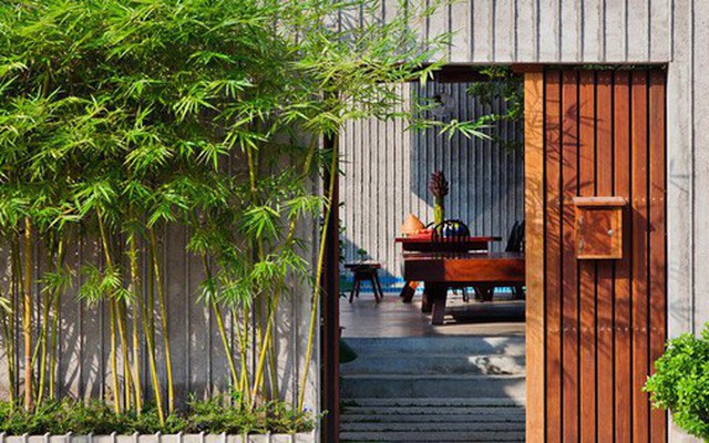 Đừng trồng 6 loại cây này sát nhà kẻo "rước họa"