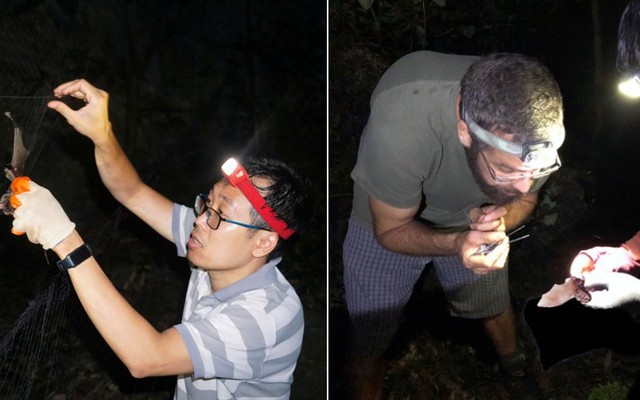 Phát hiện loài thú mới tại Việt Nam: Hé lộ "kho báu" đa dạng sinh học ở hạ lưu sông Mê Kông