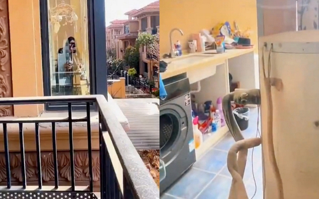 Đi công tác 6 tháng không về, cô gái sốc nặng khi phát hiện ban công hàng xóm lấn sát cửa sổ phòng ngủ: Cơ quan chức năng vào cuộc