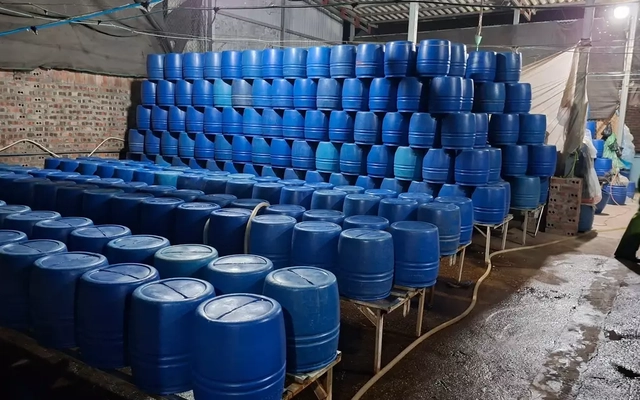 Dùng chất độc có thể gây chết người để sản xuất hơn 500 tấn giá đỗ