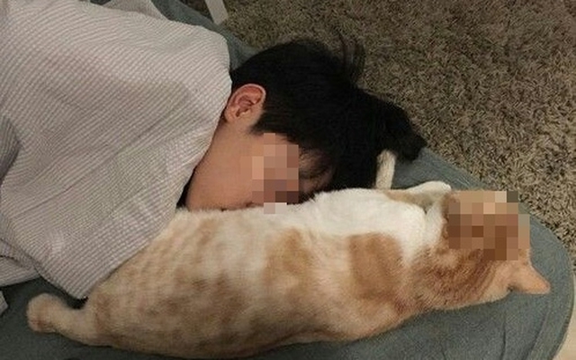 Cậu bé 14 tuổi "gần như mù lòa" sau 1 năm ngủ chung với chó mèo, bác sĩ: "Bệnh này không chữa được"