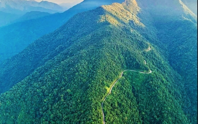 Tạp chí quốc tế công bố "kho báu sống" ở dãy Trường Sơn: Chỉ Việt Nam có