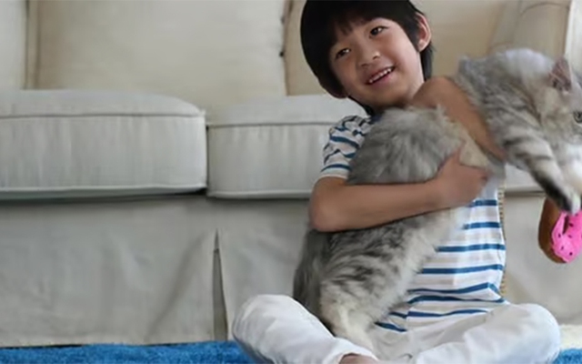 Cậu bé gần như mất thị lực vĩnh viễn do thói quen ôm mèo mà không rửa tay