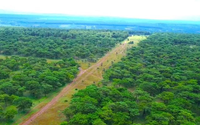 Nơi được FLC của ông Trịnh Văn Quyết chọn để chuẩn bị làm sân golf 1000 tỷ: Có gì đặc biệt?