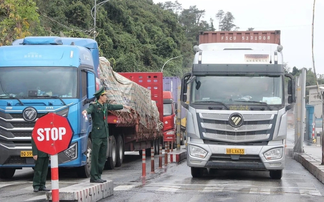 Tạm ngưng hiệu lực Nghị định 46 và Nghị quyết 66.13