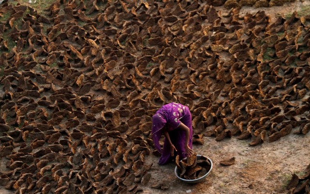 Cảnh tượng chưa từng thấy ở Ấn Độ: Khắp đường phố "xuyên không" về thời đồ đá, người dân phải dùng nguyên liệu thô sơ nhất để nấu ăn