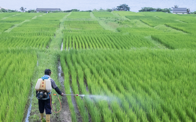 Phát minh của Trung Quốc xoay chuyển ngành phân bón: Ép chất thải độc hại thành nguyên liệu cho nông nghiệp, hiệu suất cao gấp 3 lần bình thường
