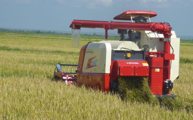 Cuba đón tin cực vui từ Việt Nam