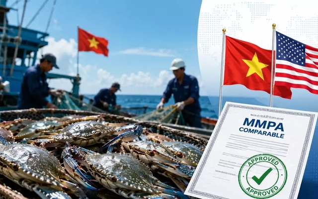 Tin vui với ghẹ Việt Nam xuất Mỹ