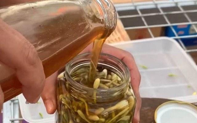 5 điều cấm kỵ khi dùng mật ong tưởng "biết rồi, khổ lắm, nói mãi" nhưng rất nhiều người Việt vẫn làm sai