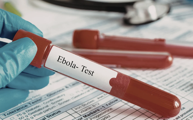 TPHCM tăng cường giám sát cửa khẩu, chủ động phòng nguy cơ dịch bệnh Ebola xâm nhập