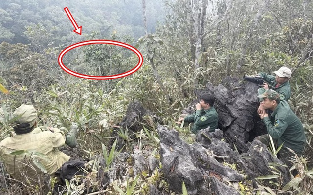 Loài động vật quý hiếm chỉ Việt Nam có, giới khoa học tìm cách "cứu": Cả thế giới còn khoảng 250 cá thể