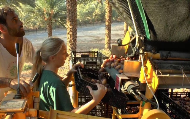 Thí điểm xây dựng xã phường XHCN: Hà Nội học được gì từ mô hình Kibbutz của Israel?