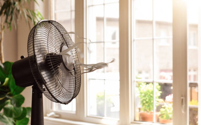 Loại quạt nào tốn điện nhất? Lời khuyên để dùng quạt điện mát không kém điều hòa mà vẫn tiết kiệm, tốt cho sức khỏe