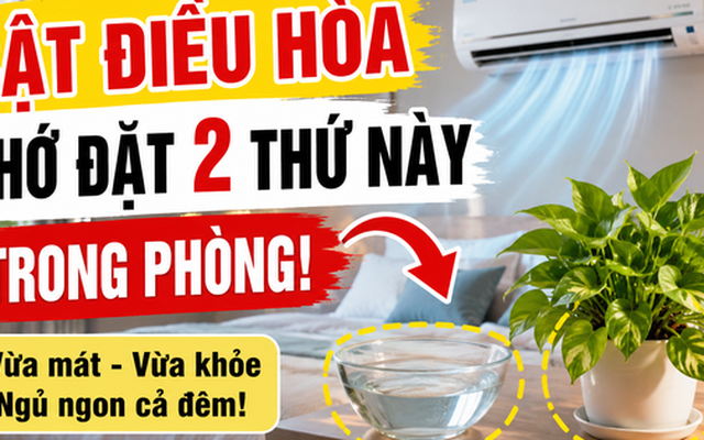 Trước khi bật điều hòa, người khéo thường đặt thêm 2 thứ này trong phòng: Vừa dễ ngủ vừa đỡ khô da
