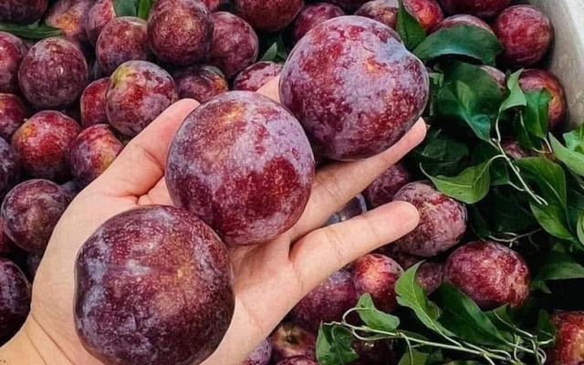 Nhận quà quê của thông gia gửi xuống, tôi không biết nên vui hay buồn, nhất là sau khi nghe lời đề nghị của con dâu