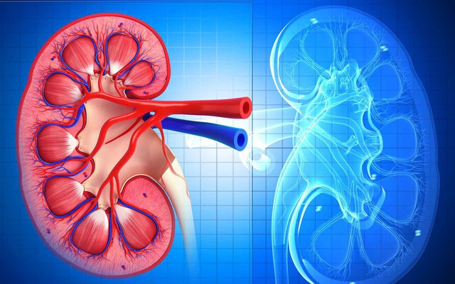 Những người có thận yếu thường có 10 dấu hiệu này trên cơ thể: Hãy kiểm tra ngay!