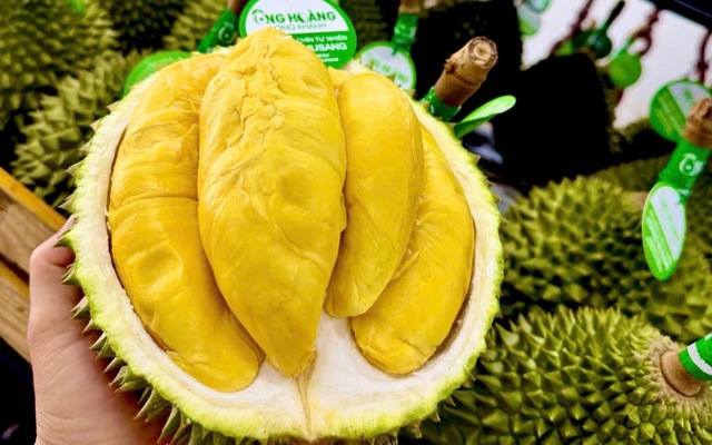 Sầu riêng 50.000 đồng/kg vẫn khó bán, loại nửa triệu đồng/kg lại ‘cháy hàng’