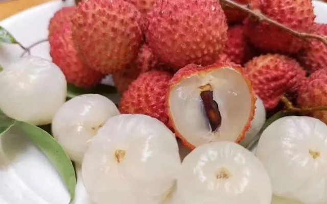 Sản lượng vải thiều dự kiến giảm khoảng 50% so với năm ngoái