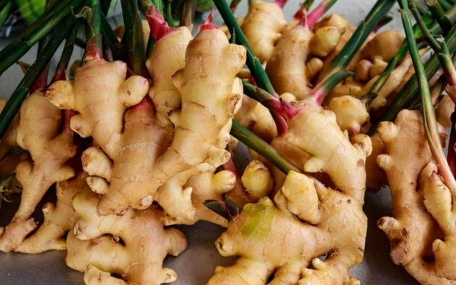 7 lợi ích của cây gừng