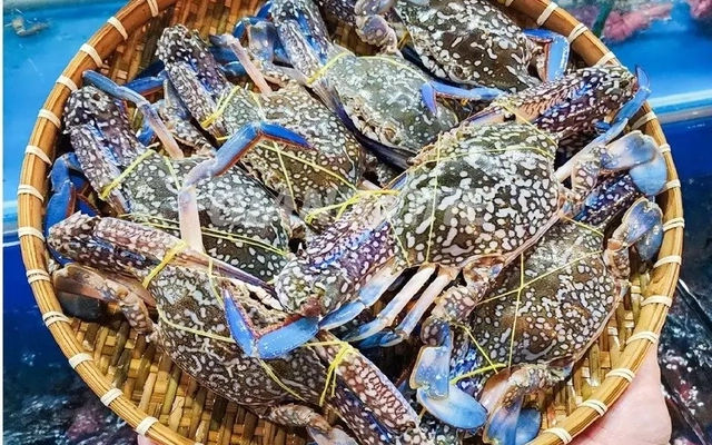 Mỹ ngừng nhập ghẹ từ Philippines, ghẹ Việt đón cơ hội