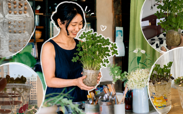 Tôi đã thử ngâm vài hạt đậu phộng trong nước suốt 15 ngày và bất ngờ nhận được một “khu rừng mini” xanh mát: Không tốn tiền mua cây mà vẫn có góc thư giãn cực chữa lành