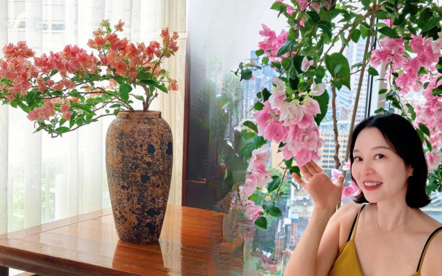 Lời khuyên cho người muốn trồng hoa giấy bonsai trong nhà
