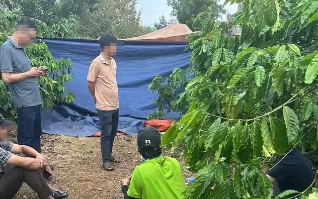 Vợ tử vong trong rẫy cà phê, chồng mất liên lạc sau khi nói 'có việc chưa về'