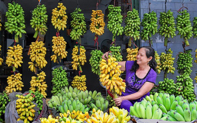 Loại quả ngon nhất thế giới của Việt Nam: Chỉ có ở Ninh Bình, vào mùa là hết sạch, phải đặt trước mới có