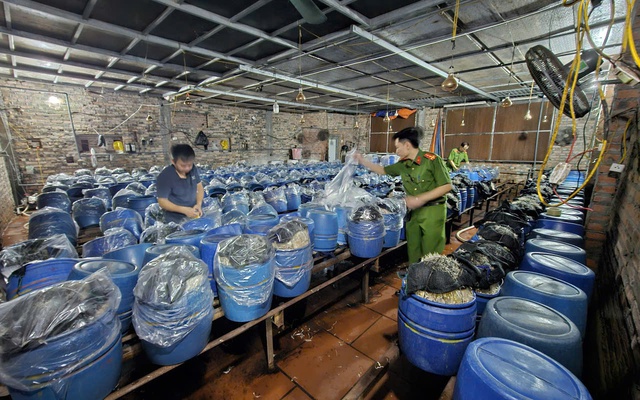 Tuồn 1.000 tấn giá đỗ ngâm hóa chất ra thị trường, 3 người bị bắt