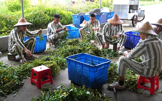 Từ hôm nay, mỗi tháng phạm nhân được gọi video về nhà 1 lần không quá 10 phút