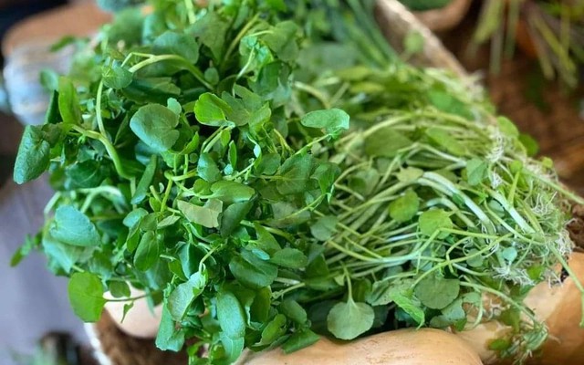Việt Nam có 3 loại rau "đại bổ": Loại thứ nhất gây bất ngờ vì có nhiều omega-3