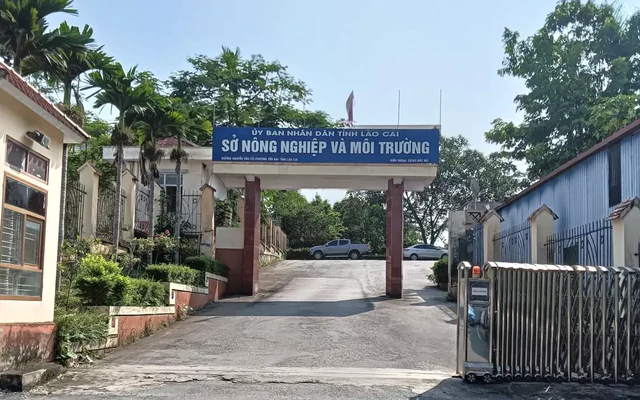 Nam cán bộ Sở Nông nghiệp và Môi trường Lào Cai tử vong trong tư thế treo cổ tại cơ quan