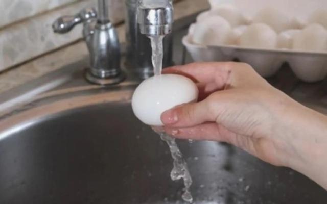 Tại sao không nên rửa trứng đã luộc bằng nước máy? Rất nhiều người vẫn làm mà không biết đó là sai lầm