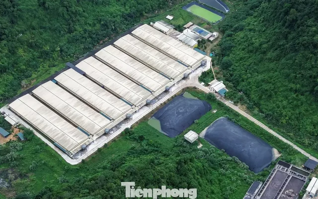 Thanh Hóa tổng kiểm tra cơ sở chăn nuôi sau vụ tai nạn trong trại lợn làm 5 người chết