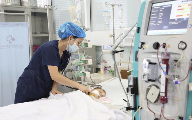 Bé trai 15 tháng tuổi nguy kịch sau khi bị ong vò vẽ đốt 60 nốt