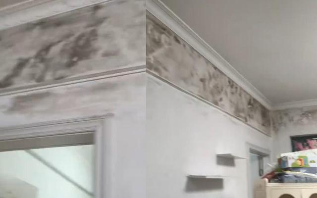Cả gia đình liên tục ốm không rõ nguyên nhân, cảnh tượng sau lớp giấy dán tường khiến người thuê hoảng sợ
