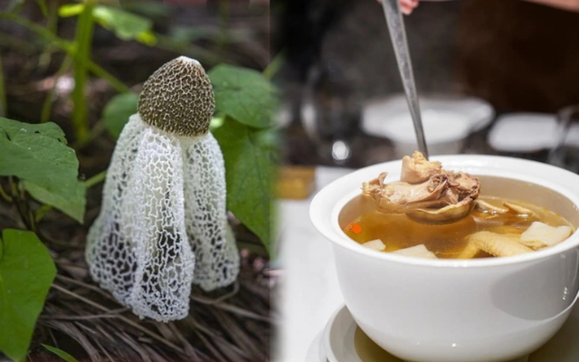 Thực phẩm chứa kali gấp 42 lần chuối, hấp hay luộc đều ngon: Nên ăn nhiều vào tháng 7 để hỗ trợ tiêu hóa, bảo vệ gan, giảm mệt mỏi, tăng miễn dịch