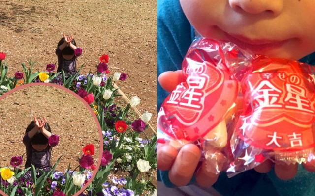Cậu bé "giả làm hoa tulip để trốn tìm" nổi tiếng khắp thế giới ngày ấy giờ ra sao?