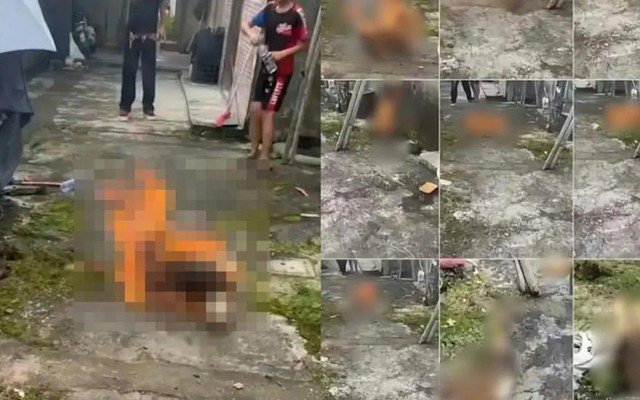 4 đứa trẻ dưới 14 tuổi gây phẫn nộ vì hành vi ngược đãi động vật, chuyên gia lên tiếng cảnh báo