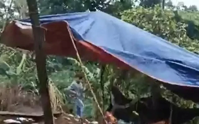Nam giáo viên khai quá trình sát hại, phi tang thi thể nữ nhân viên thư viện cùng trường
