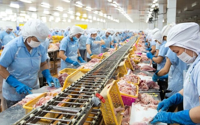 Con trai 'vua cá rô phi' lần thứ 3 mua thêm 1 triệu cổ phiếu ANV khi thị giá giảm gần 40% từ đầu năm