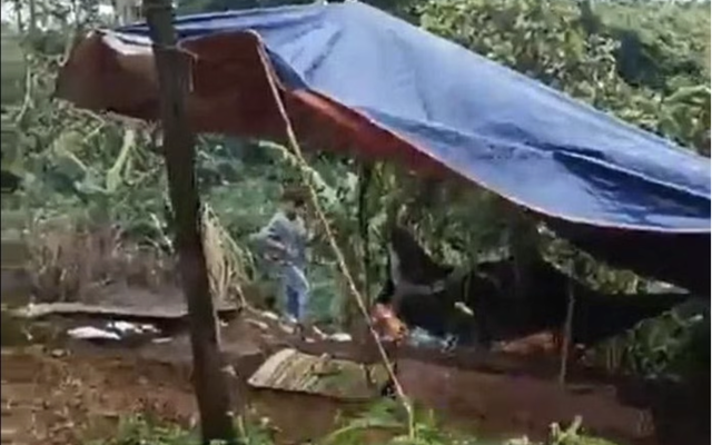 Vụ nữ nhân viên thư viện trường nghi bị đồng nghiệp sát hại, chôn trong rẫy: Hiệu trưởng nói gì về nghi phạm?