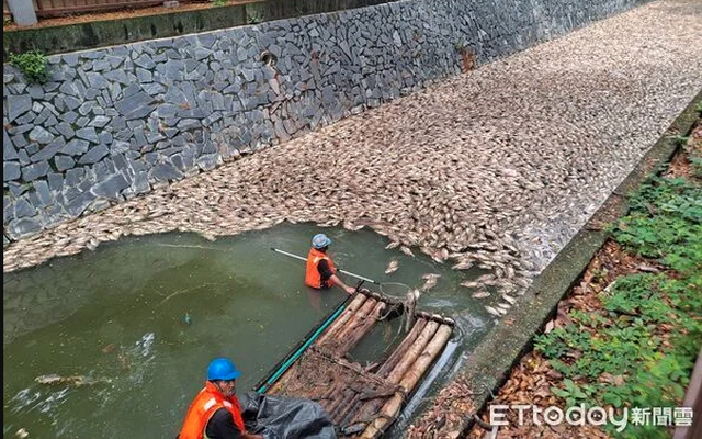 Vừa dọn sạch 5 tấn cá chết, con sông lại liên tiếp xuất hiện cảnh tượng khiến người dân hoảng hốt
