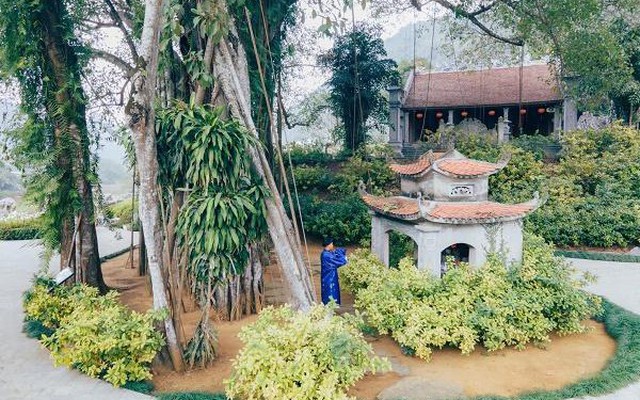 Phát hiện cây đa hơn 1.000 năm tuổi "biết đi" ở Việt Nam: 3 lần đổi vị trí, mỗi bước tới 15m
