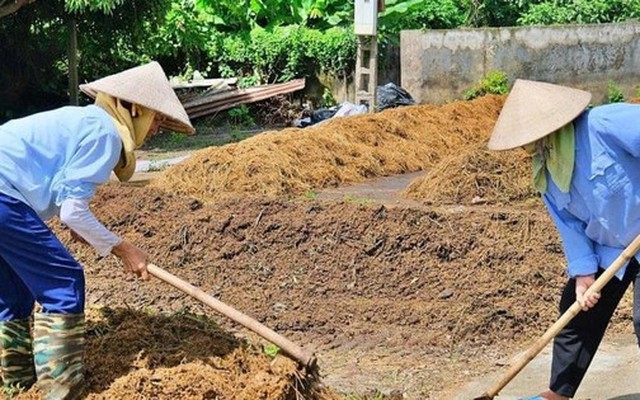 Biến phụ phẩm nông nghiệp thành tài nguyên có giá trị