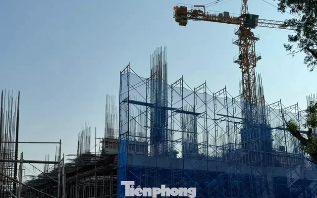 Giá căn hộ ở TPHCM giảm mạnh sau sáp nhập