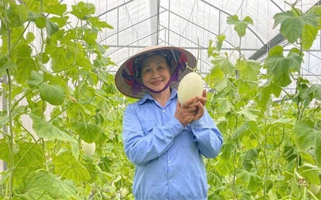 Nông sản Thủ đô chinh phục thị trường từ minh bạch nguồn gốc