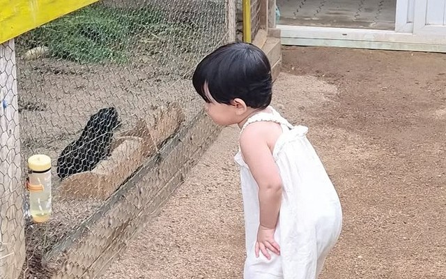 Trẻ IQ cao thường có 3 kiểu "dai dẳng" này!